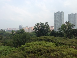 Blk 315A Ang Mo Kio Street 31 (Ang Mo Kio), HDB 4 Rooms #178376982
